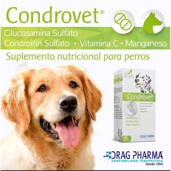 Condrovet Suplemento Nutricional Para Perros 30 Comprimidos Agathamarket.cl 3