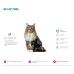 Sieger Katze Alimento Para Gato Mayor De 7 Años Senior 1 Kg Agathamarket.cl 2